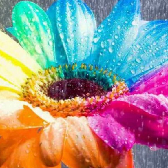 Profile Picture of Michelle Ijams (@_mi_) on Poshmark