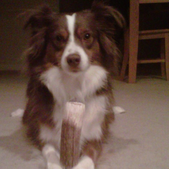 Profile Picture of Emma Cordiano (@ecordiano9) on Poshmark