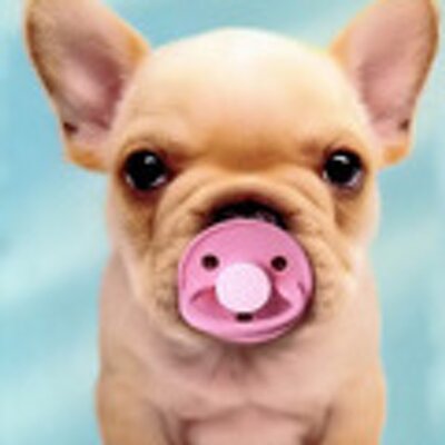 Profile Picture of NicholasWang (@NicholasWang) on Twitter