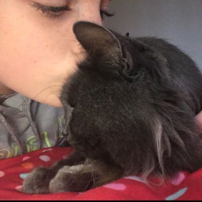 Profile Picture of Shayla2️⃣0️⃣1️⃣8️⃣ (@shayla_hacks) on Tiktok