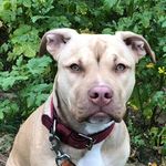 Profile Picture of Andreas Gebauer (@andreas.gebauerr) on Instagram