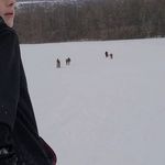 Profile Picture of Adam Wesseler (@adamwesseler) on Instagram