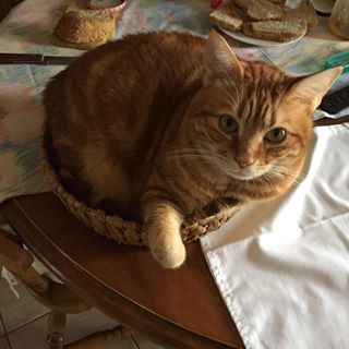 Profile Picture of Guy Alba (@guy.alba.731) on Facebook