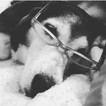 Lisa Gaul Sinnett - Instagram Profile Picture of Lisa Gaul Sinnett (@lisa_sinnett) on Instagram