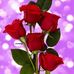 Profile Picture of Shamim Haque (@Shamim-Haque) on Facebook