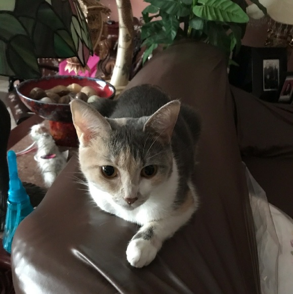 Ignacio Fontan - Poshmark Profile Picture of Ignacio Fontan (@ifontan44) on Poshmark