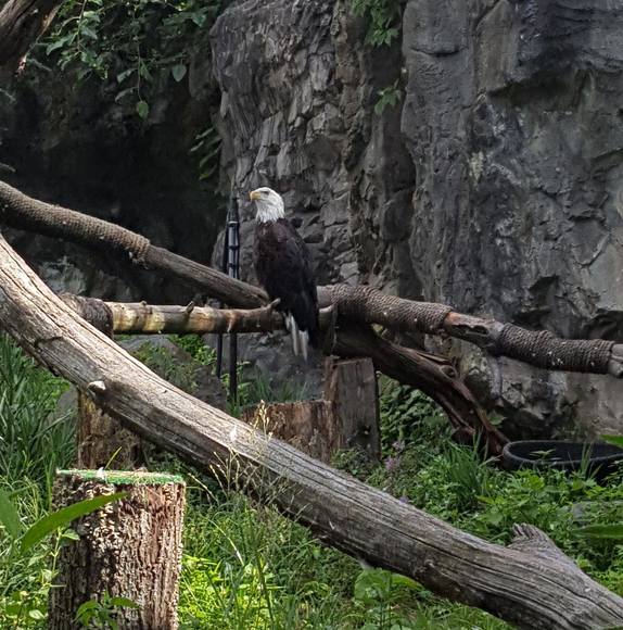 Profile Picture of David Salerno (@solomon146) on Poshmark