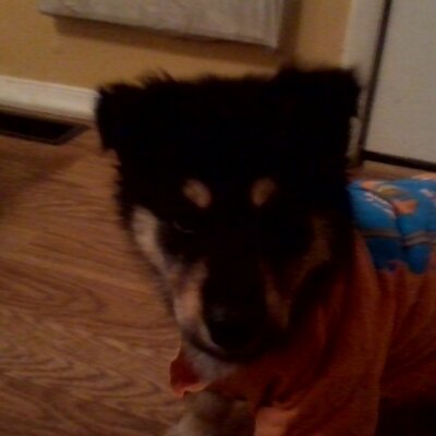 Profile Picture of Ivan Jines (@IvanJines) on Twitter