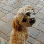 Profile Picture of jeffrey faughnan (@j_3ffrey211) on Instagram