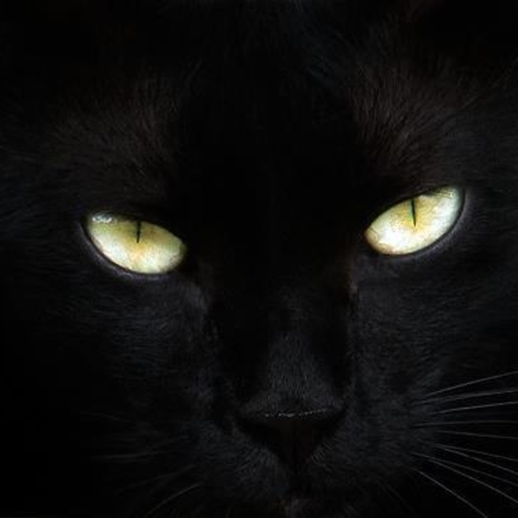 Profile Picture of April Hightchew (@baby_bear333) on Poshmark