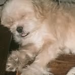 Kenneth Tawatao - Facebook Profile Picture of Kenneth Tawatao (@Kenneth-Tawatao) on Facebook