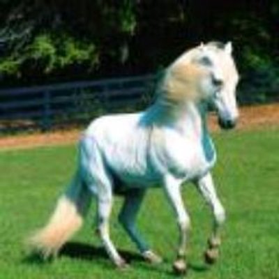 Profile Picture of Richard Nevels (@RichardNevels1) on Twitter