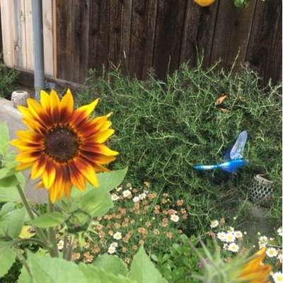 Stelena Siniavsky - Twitter Profile Picture of Stelena Siniavsky (@NurseNinetta) on Twitter