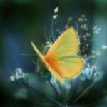 Profile Picture of Janet Hemmings Lottes-Griggs (@jrae1962) on Instagram