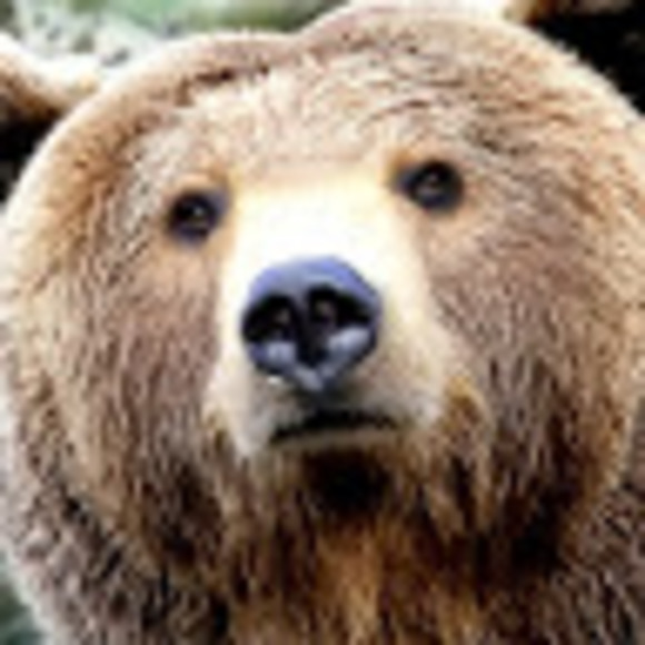 Profile Picture of Mark Rattenbury (@neopyrrhonist) on Poshmark