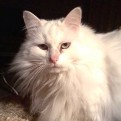 Profile Picture of Jen Doty (@dotyjl) on Twitter