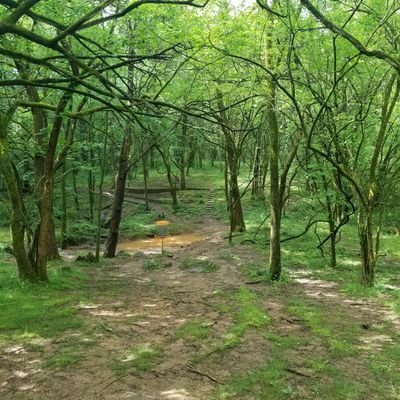 Profile Picture of DustinGivens (@DustinGivens8) on Twitter