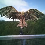 Profile Picture of Kevin Bailey (@kevin.bailey.923236) on Facebook