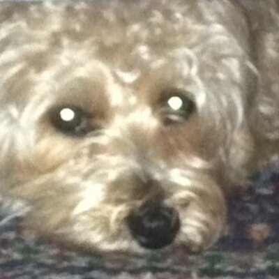 Paula Milbourne - Twitter Profile Picture of Paula Milbourne (@goldilokz77) on Twitter