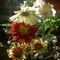 Profile Picture of Lisa Pickel (@lisa.pickel.39) on Facebook