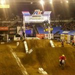 panther - Instagram Profile Picture of panther (@james_banducci) on Instagram