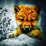 Profile Picture of joshua mink (@mink.joshua) on Instagram