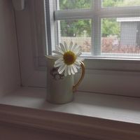 Profile Picture of Joan Mcgee (@joan-mcgee-12) on Quora