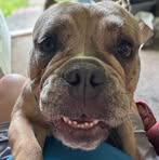 Profile Picture of Jeffrey Polasky (@jeffrey.polasky.2025) on Facebook