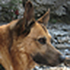 Profile Picture of ludwigz (@ludwigz) on Flickr
