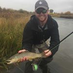 Profile Picture of Andrew Campbell (@andrewcampbell54) on Instagram