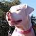 Profile Picture of Corey Timmons (@corey.timmons.7505) on Facebook