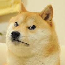 Profile Picture of nicholasscorza771 (@nicholasscorza771) on Tiktok