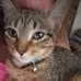 Profile Picture of Piper Mullins (@kelsie.jovi.94) on Facebook