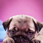 Profile Picture of Seanscarbro (@seanmichaelscarbrojr) on Instagram