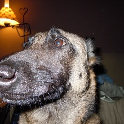 Profile Picture of Edward Fulton (@eddfulton) on Twitter