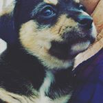 Profile Picture of gemma roxy raymo (@gemiscute1023) on Instagram