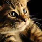 Profile Picture of Filbert Kenneth (@filbert_kenneth) on Instagram