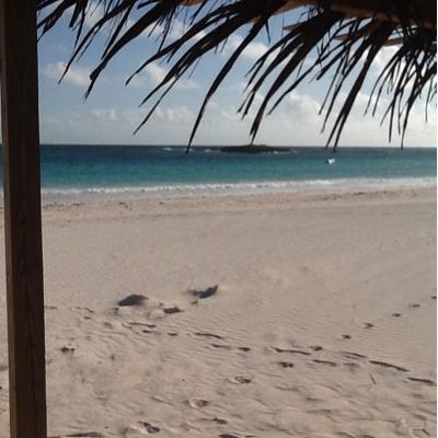 Profile Picture of Michelle Whiting (@mbwhiting10) on Twitter