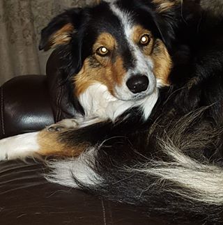 Profile Picture of Robyn Funnell (@robyn.funnell) on Facebook