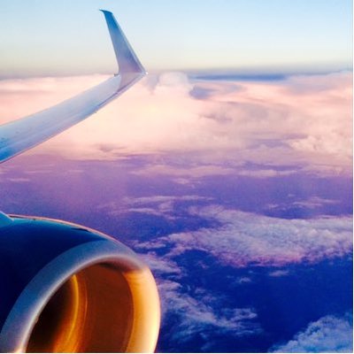 Profile Picture of Kate McAvoy (@kateemcavoy) on Twitter