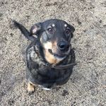 Flóra Gölöncsér - Instagram Profile Picture of Flóra Gölöncsér (@goloncserflora) on Instagram