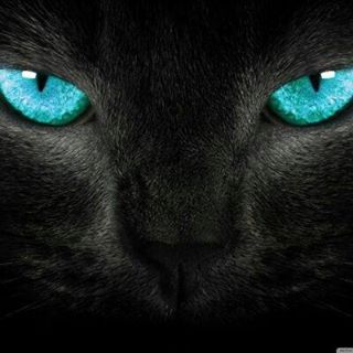 Barry Weinberger - Facebook Profile Picture of Barry Weinberger (@Barry-Weinberger) on Facebook