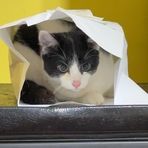 Profile Picture of Sandra Blevins (@sandra.blevins.1671) on Facebook