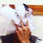 Profile Picture of Bruce Adrian Lee (@the.almighty_bruce) on Instagram