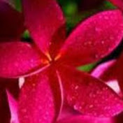 Profile Picture of G Wong (@gwong8045) on Youtube