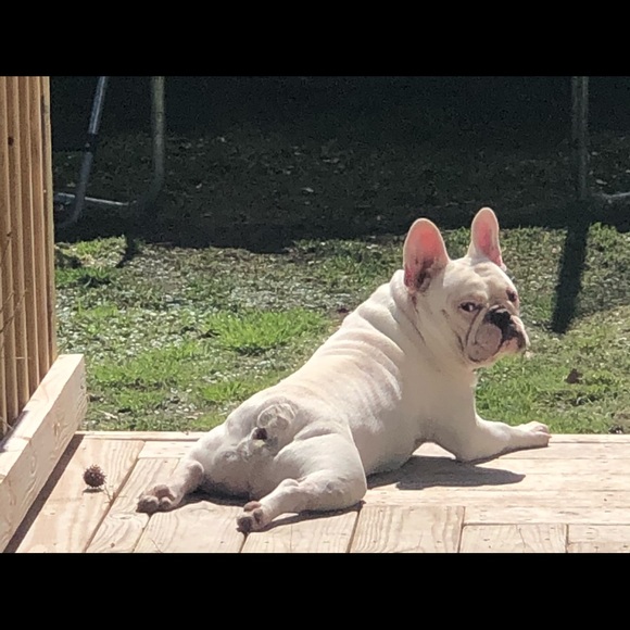 Profile Picture of Molly Hutnick (@mollyhutnick) on Poshmark