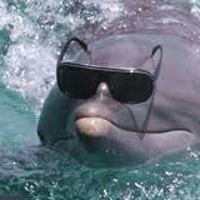 Profile Picture of Harry Blevins (@harry-blevins-1) on Quora