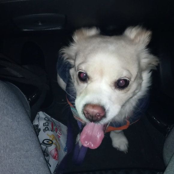 Shauntee Barnes - Poshmark Profile Picture of Shauntee Barnes (@shaunteebarnes) on Poshmark