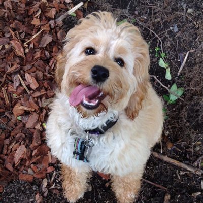 Profile Picture of Gianina Maturo (@g2maturo) on Twitter