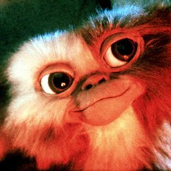 Profile Picture of Daniel Fienberg (@TheFienPrint) on Twitter